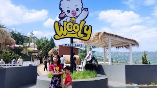 WOOLY SHEEP CAFE  JANGAN NAIK TANGGA‼️ TEMPAT DUDUK DI SOFA [upl. by Kcirdehs965]