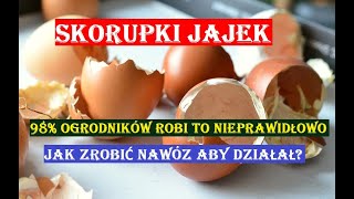 NAWÓZ ZE SKORUPEK JAJEK PRAWIE WSZYSCY ROBIĄ TO NIEPRAWIDŁOWO [upl. by Nostrebor]