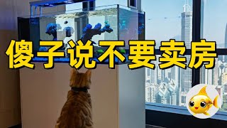 【鱼嗅当下】房奴幻想党妈财政放水救市解套房价暴跌在通胀之前。 [upl. by Allerym444]