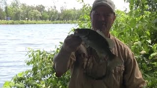 Boatless Angler  Techniques on How to Fish Under a Bridge from Shore [upl. by Czarra605]