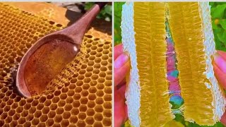 Honeycomb Cutting and Honey Flowing🍯🍯  Extremely Satisfying To Watch [upl. by Duleba]