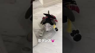 aiboの恋ダンス AI robot aibos quotKoiquot dance [upl. by Annhoj]