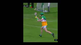 Adam Screeny X Linger🧊🥶🤩 Adamscreeny hurling offaly shorts [upl. by Frohne]