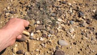 38 Stone Tool Manufacture Site  Aboriginal Stone Tools [upl. by Ahsen238]