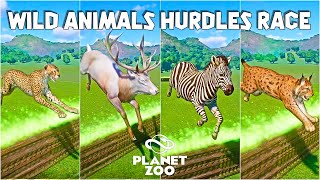 Zebra Jaguar Deer Eurasian Lynx Cheetah  Planet Zoo Hurdles Race [upl. by Hapte]