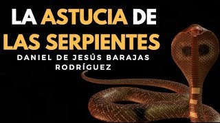 LA ASTUCIA DE LA SERPIENTE  ENSEÑANZAS DE LOS ANIMALES [upl. by Noak970]