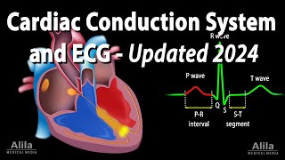 Cardiac Conduction System and Understanding ECGEKG  Updated 2024 Animation [upl. by White]