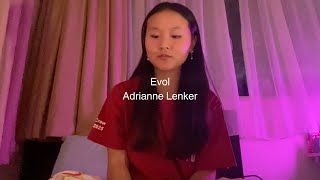 Evol  Adrianne Lenker cover by Mimi Power [upl. by Drew]