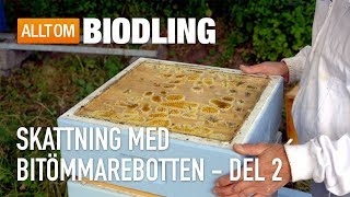 Skattning med bitömmarebotten Del 2  Biodling [upl. by Sonahpets]