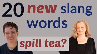 Native Speaker Teaches 20 English Slang Words [upl. by Balas]