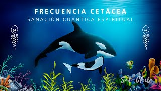 FRECUENCIA CETÁCEA • SANACIÓN CUÁNTICA ESPIRITUAL 🐋 Canto de BALLENAS y DELFINES 741 Hz [upl. by Pierpont]