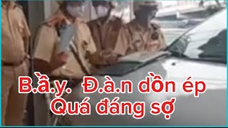 CSGT Làm Việc Theo Kiểu Bầy Đàn Dân Nào Chả Sợ [upl. by Fae]