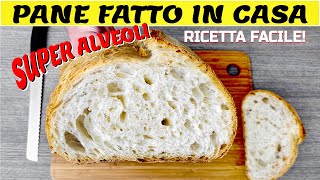 SEGRETI E CONSIGLI PER UN PANE ALVEOLATO FATTO IN CASA [upl. by Ykroc]