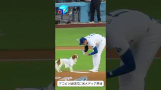 デコピン始球式に米メディア熱狂 osimiニュース 海外の反応 dekopin ohtani [upl. by Nellie]