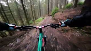 Haldon Forest another wet ride [upl. by Animas]