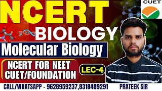 NCERT Biology Classes 2024  Molecular Biology  NCERT Complete Preparation for CUET EXAM [upl. by Wes]