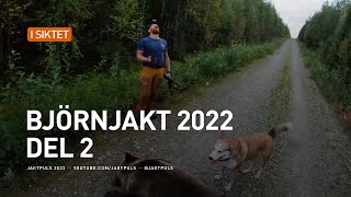 Björnjakt 2022 del 2 [upl. by Nylirehc]