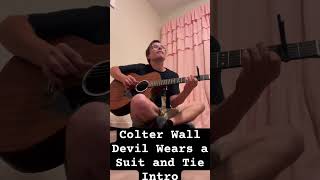 Colter Wall  Devil Wears a Suit and Tie Intro acousticblues [upl. by Najram]