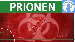 Prionen  Krankheitserreger  Proteine einfach erklärt  Schäden amp Anormale Konformation  Genetik [upl. by Sirrad901]