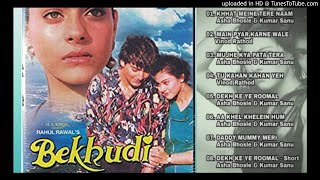 Bekhudi 1992 movie ALL SONG  Bekhudi movies Songs Jukebox [upl. by Gee793]