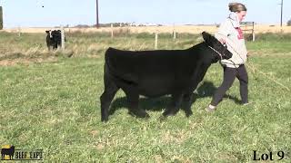 2024 MN Beef Expo Lot 9 [upl. by Philbin]