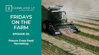 Tall Fescue Harvest amp Soil Health Benefits  Fridays on the Farm Episode 5 [upl. by Torray]