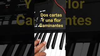 Los Caminantes  Dos Cartas y una Flor en teclado korg pa 300 [upl. by Sweet103]