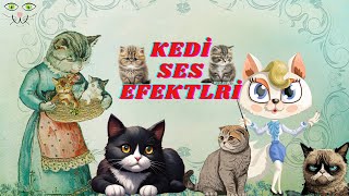 Kedi Sesleri Kedi Miyavlaması Efekti [upl. by Nahtnoj320]