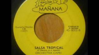 Orchestra Capri  Salsa Tropical [upl. by Renaldo]