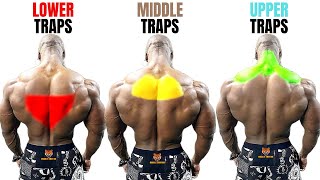 TOP 15 TRAPS WORKOUT AT GYM  LES MEILLEURS EXERCISES MUSCULATION TRAPÈZES [upl. by Atlanta]