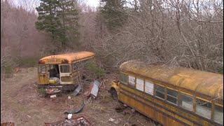 Spring Cleaning At The Busses [upl. by Rozanne]