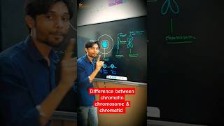 What is the difference between chromatin chromosome amp chromatid 🔥😎 biology cbse k2institute [upl. by Juditha]