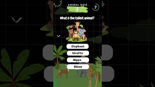 Animal Quiz Part 9  What is the tallest animal animalsquiz animalquiz [upl. by Mcgrody]