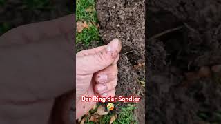 Pech gehabt 🤣 germany geschichte metaldetecting metaldetector deutsch nature sondeln [upl. by Elatsyrk882]