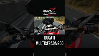 Cortes Rodolfinho da Z DUCATI MULTISTRADA 950 ABS [upl. by Luo]