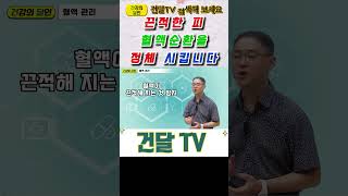 건달TV 혈액관리 이렇게 하세요 어렵지 않아요혈액관리묽은혈액건달TV건강정보 [upl. by Hanus]