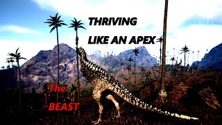 How a SOLO Carno THRIVE between MIXPACKER and Apex packs [upl. by Rheinlander]