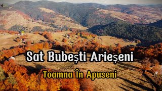 Sat Bubești ❌ Toamna în Apuseni [upl. by Catherina]