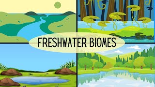 Types of Freshwater EcosystemsLakesPondsRiverStreamsWetlands [upl. by Rosabelle]