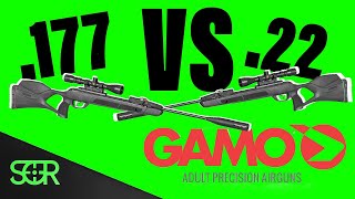 177 VS 22 Gamo Magnum GEN3i  Which One [upl. by Kirrad6]