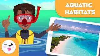 Explore Aquatic Habitats  Types of Habitats for Kids [upl. by Cherianne754]