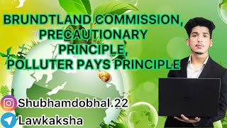 Brundtland Commission Precautionary Principle Polluter Pays Principle 🎓🎓Lawkaksha [upl. by Ettelocin]