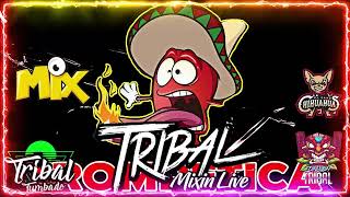 Tribal Mega Mix Febrero 2022 🔥 Lo Mas Chingon Del Tribal Mix 🔥 Tribal Tumbado Mix HD Sound [upl. by Yorle823]