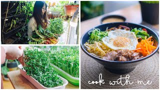 SUB Six Delicious Recipes Using Microgreens and Sprouts in My Tiny Balcony Garden [upl. by Tarrance]