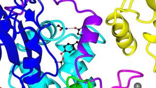 RING E3 ubiquitin ligase [upl. by Larochelle972]