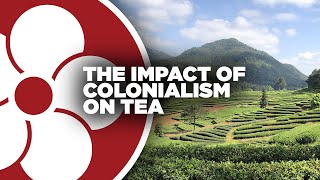 Colonialism amp Tea [upl. by Tigram]