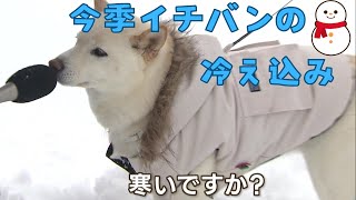 今季１番の冷え込み「さっきも転びそうになりました」ツルツル路面に注意 今シーズンの冬靴のトレンドは？ [upl. by Llireva]