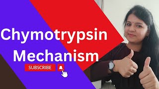 Chymotrypsin Mechanism🔥 ll Catalytic triad csirnet gatelifesciences [upl. by Kryska]