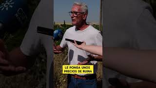 Diego Cañamero histórico líder jornalero andaluz quotEl campo no puede ser una ruinaquot [upl. by Eleazar]