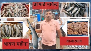 Mumbai csmt Fish Market  csmt Wholesale Fish Market  Wholesale Fish Market In Mumbai [upl. by Laehcimaj]